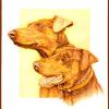 Lyrrian Portraits | Red Dobies 1986
Colored pencil portrait of 2 red Doberman Pinschers commissioned by Cindy Nussbaum in 1986
